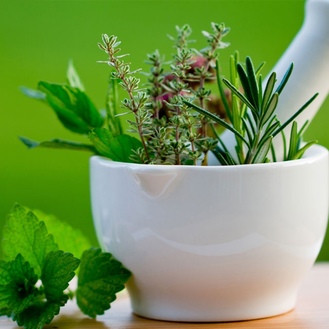 découvrir la naturopathie
