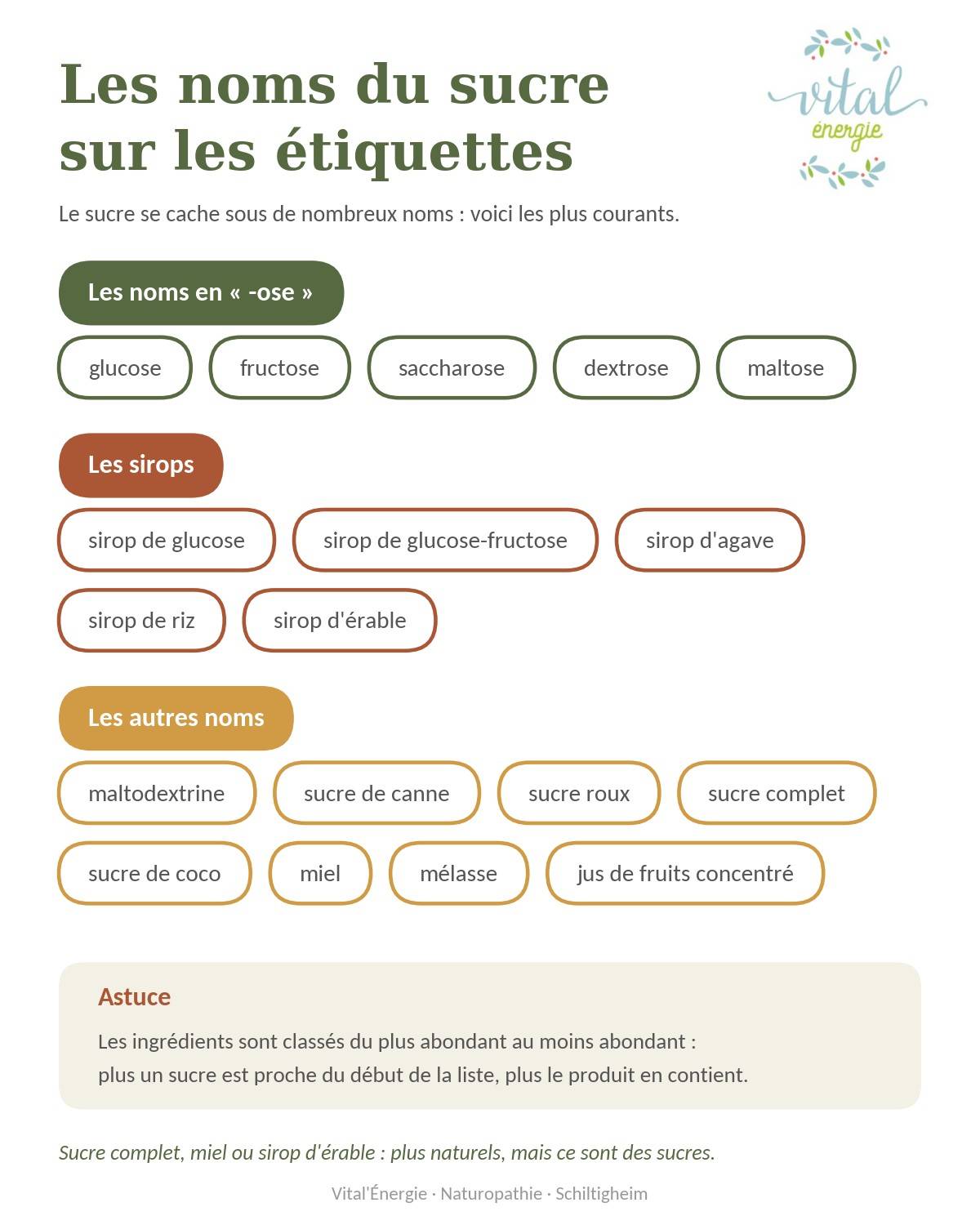 Infographie Noms Du Sucre