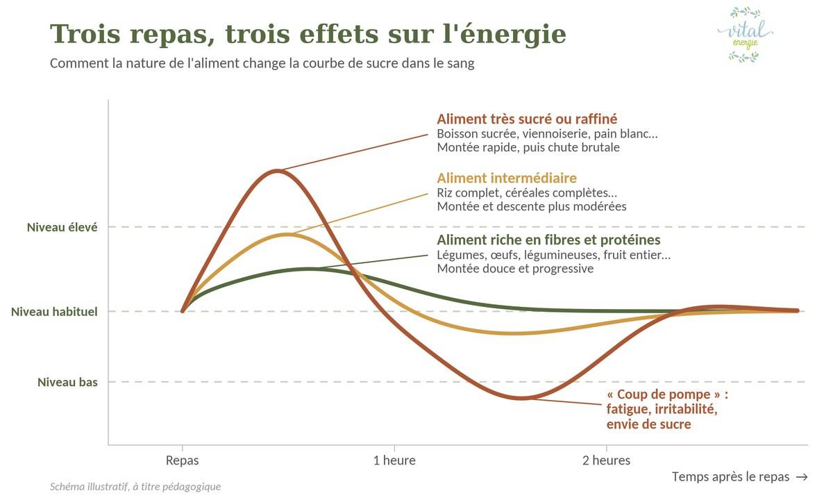 Schema Courbes Glycemie