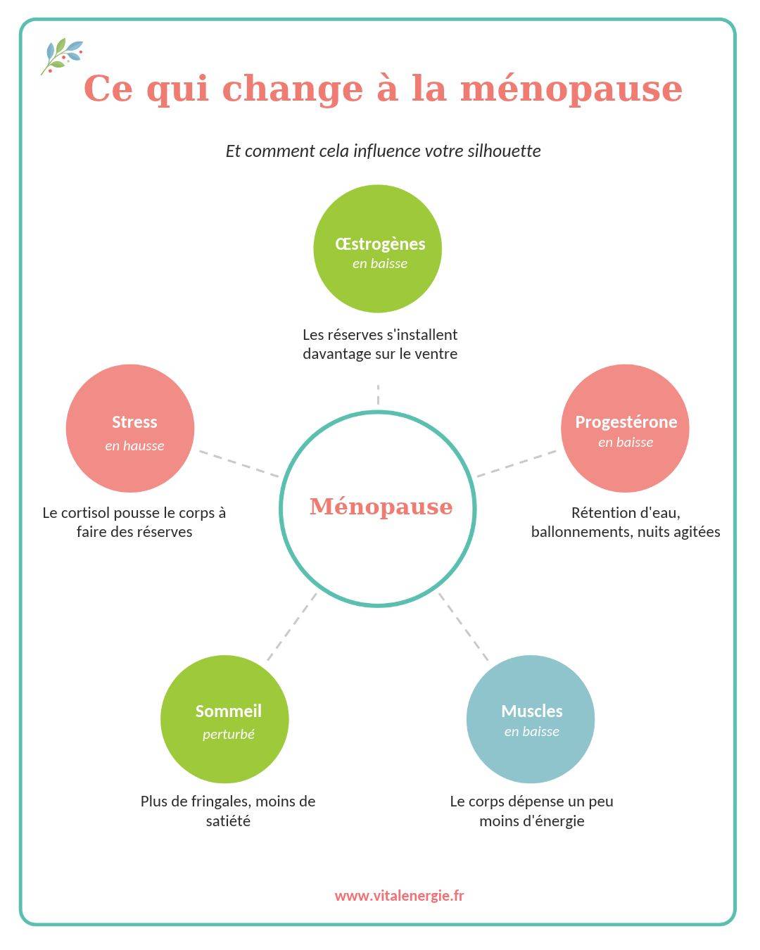 Www.Vitalenergie.Fr